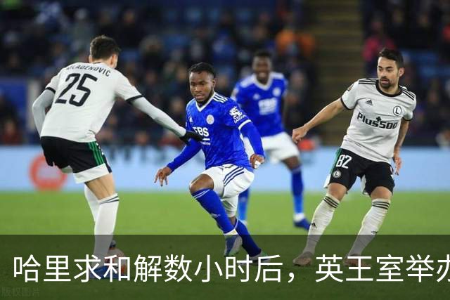 哈里求和解数小时后，英王室举办盛大国宴，凯特戴王冠光彩夺目