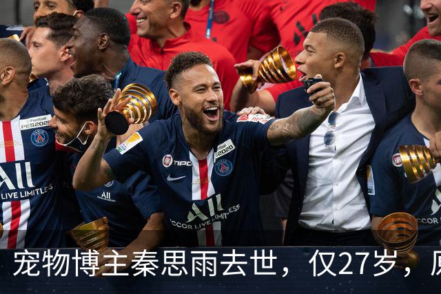 宠物博主秦思雨去世，仅27岁，原因曝光太痛心，疑与流浪猫狗有关